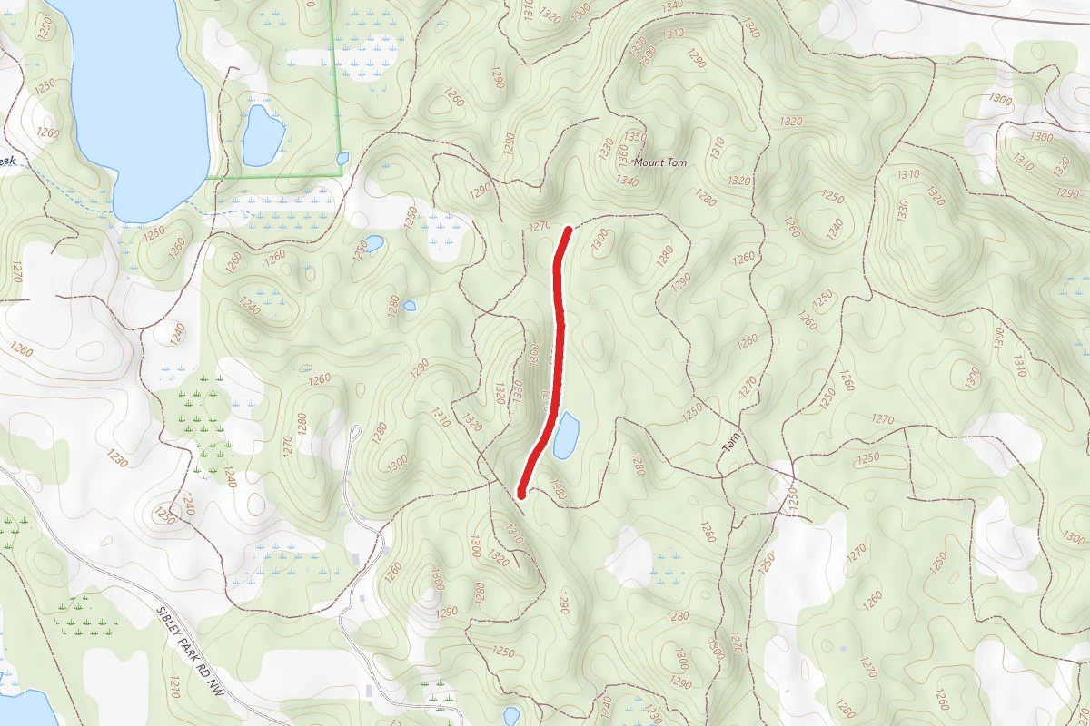 Park Trail