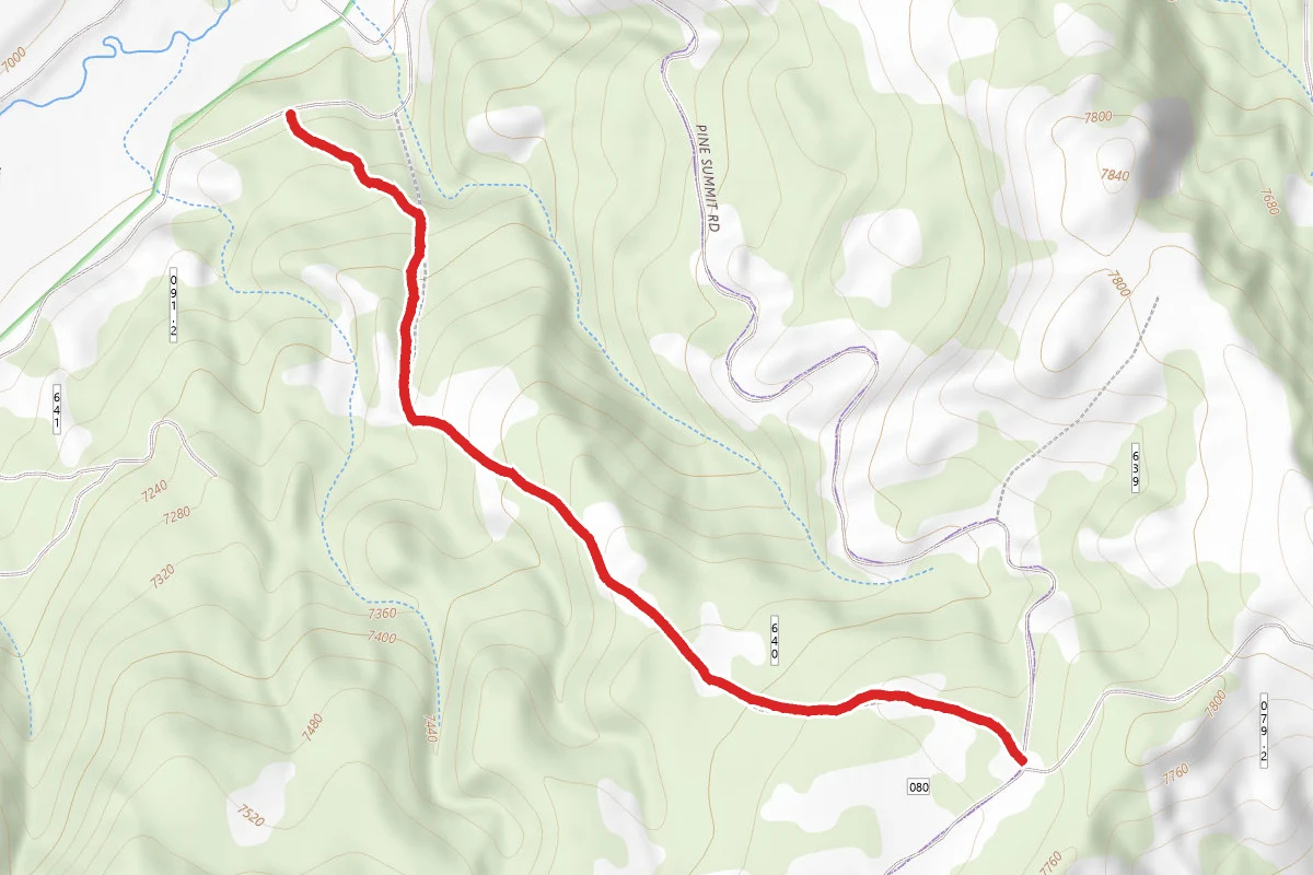 Pine Summit