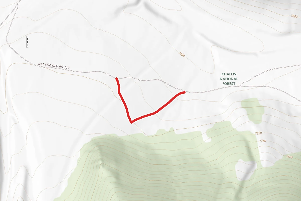 Trough Loop