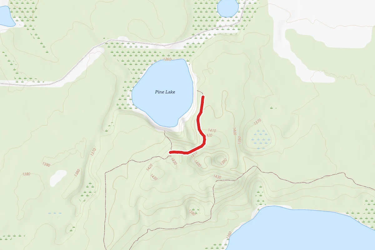 Fire Tower Road