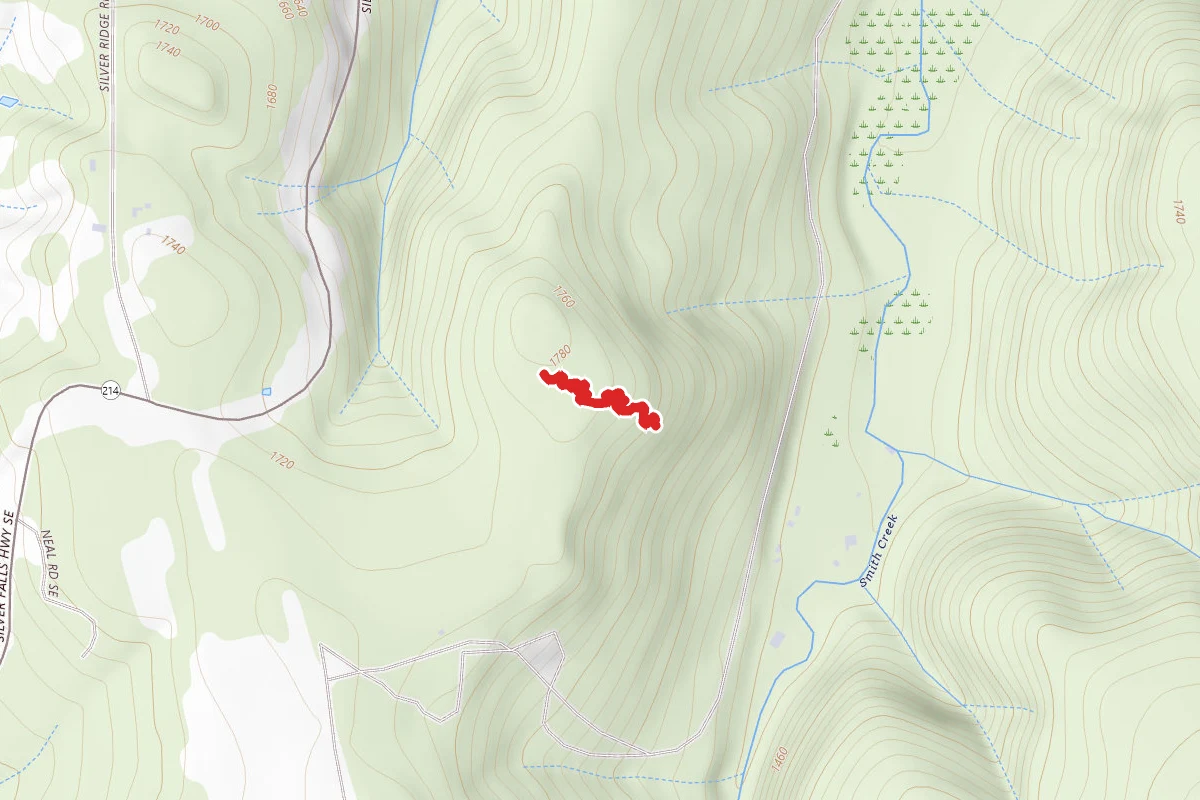 Newt Loop Trail, Switchback Skill Station