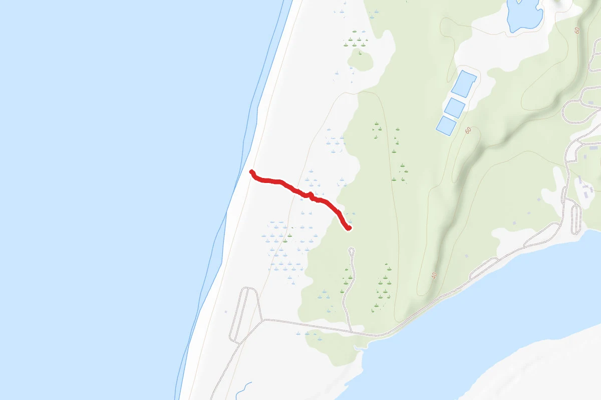 Black Johntrail