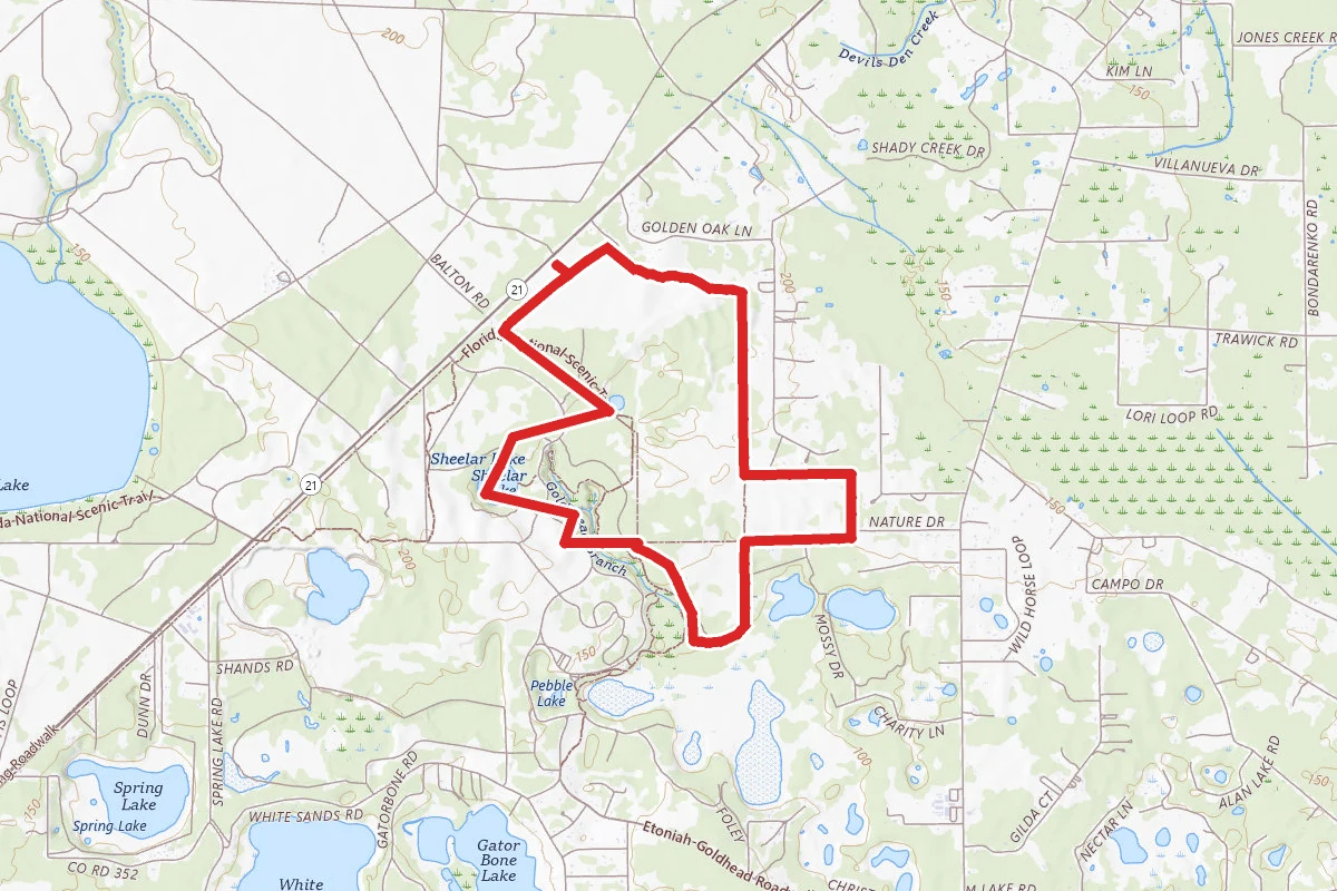 Loblolly Loop Trail