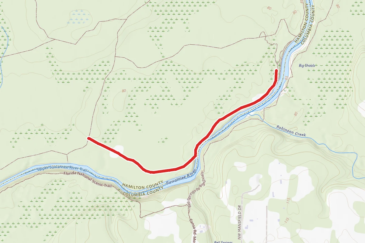 Rd. 19-Palmetto Trail