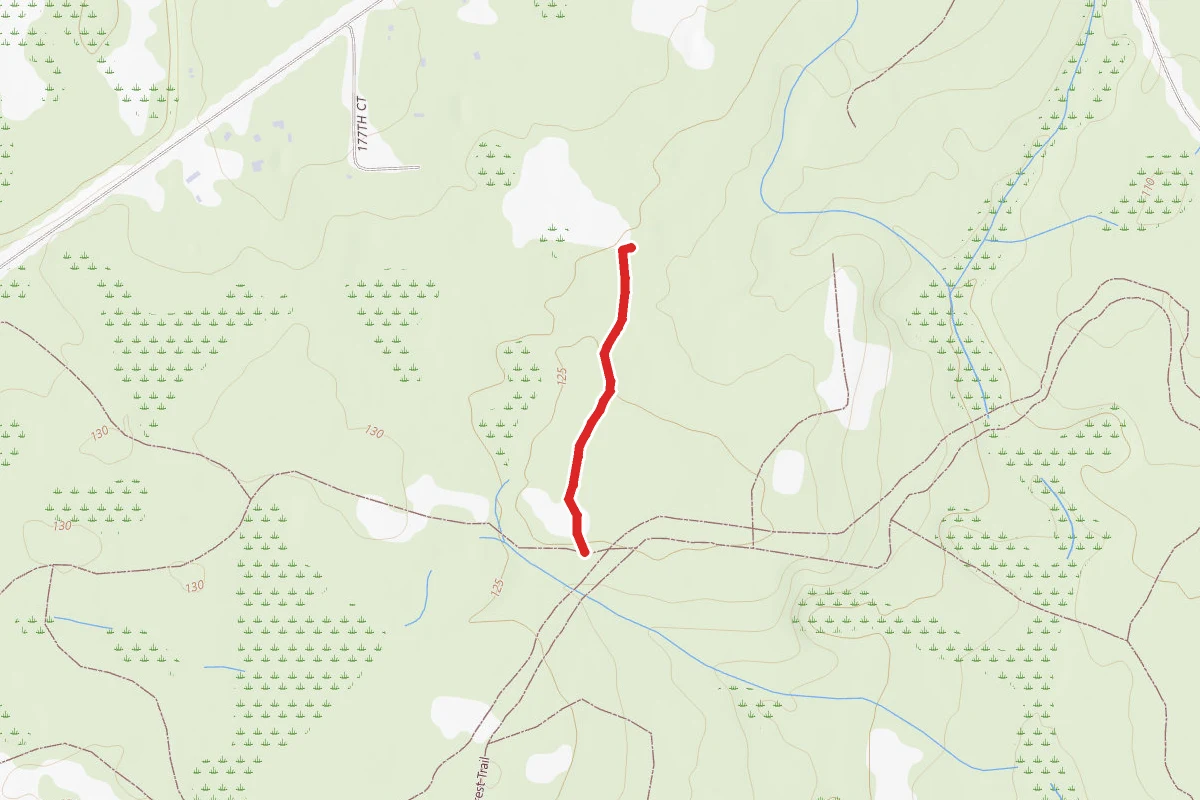 Rd. 17