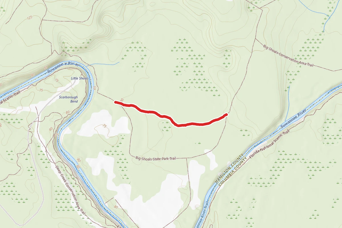 Rd. 4