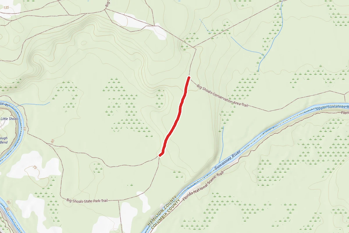 Rd. 4 Mossy Ravine Trail