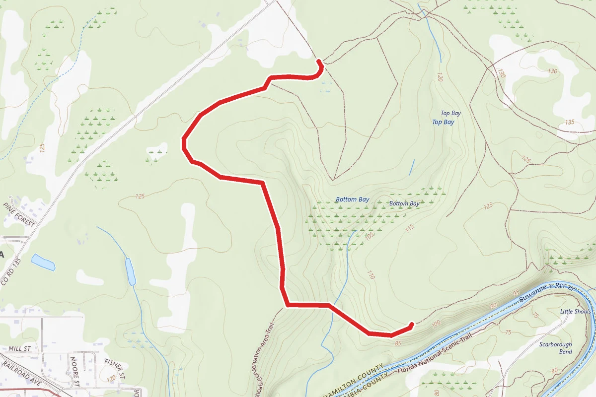 Rd. 7-Mossy Ravine Trail