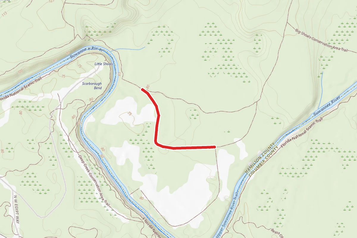 Rd. 15 Mossy Ravine Trail