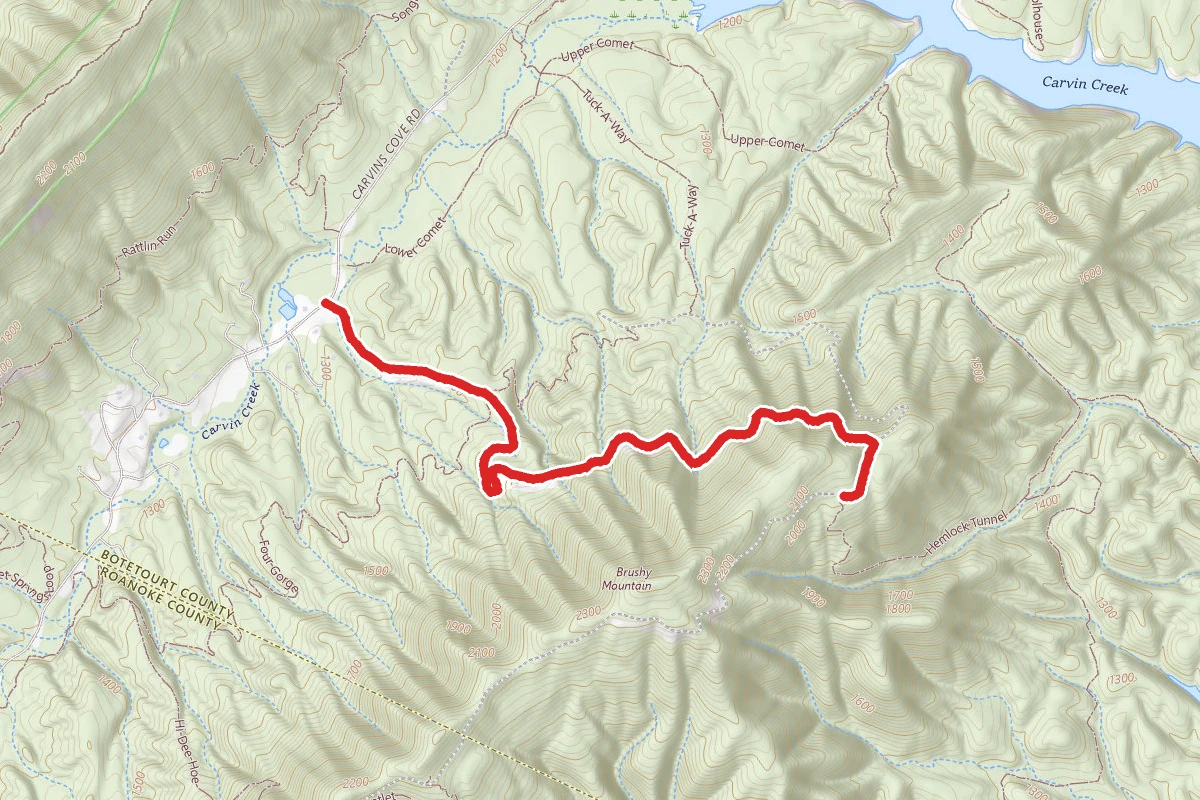 Brushy Mountain Fire Road-Lower