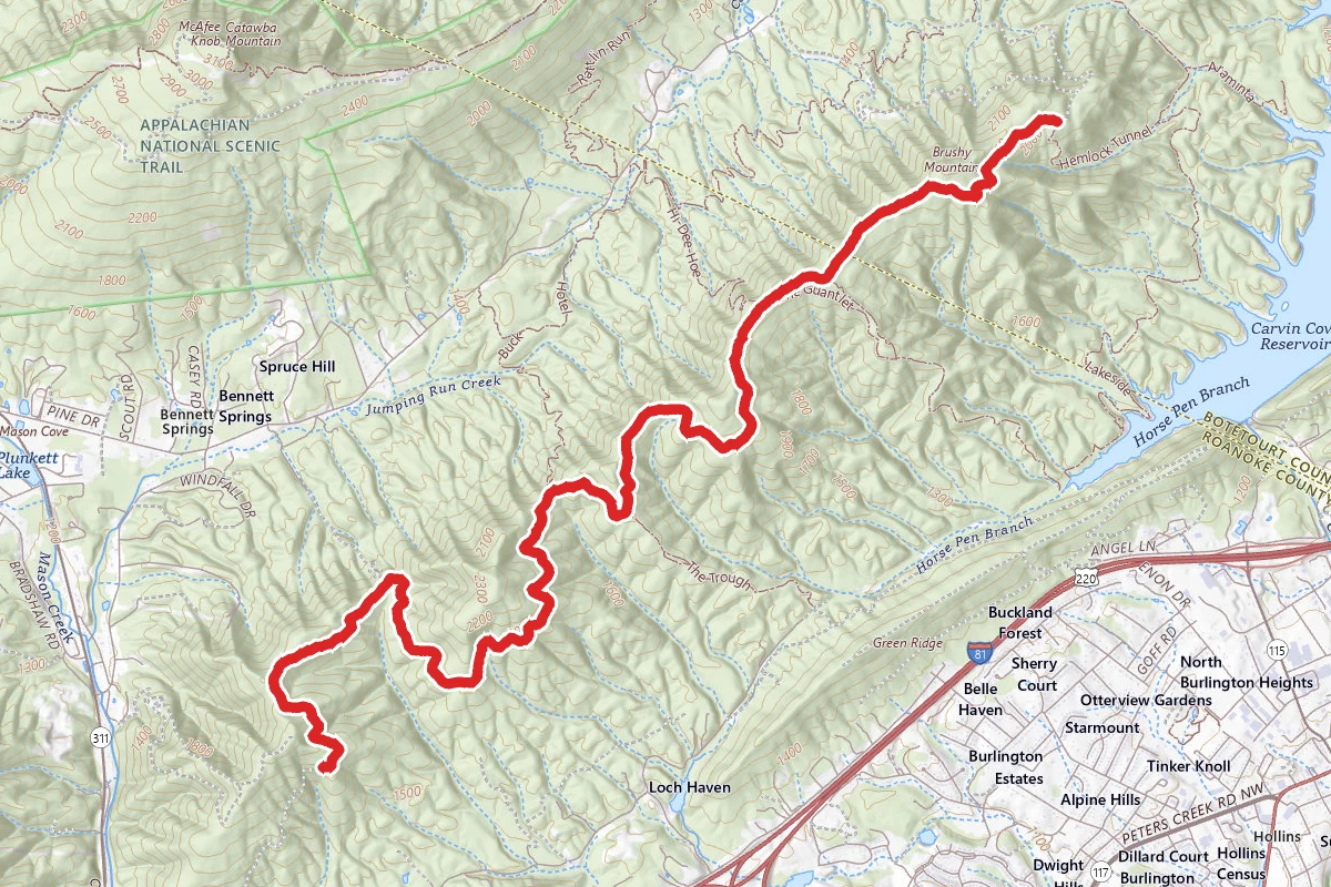 Brushy Mountain Fire Road-Ridgeline