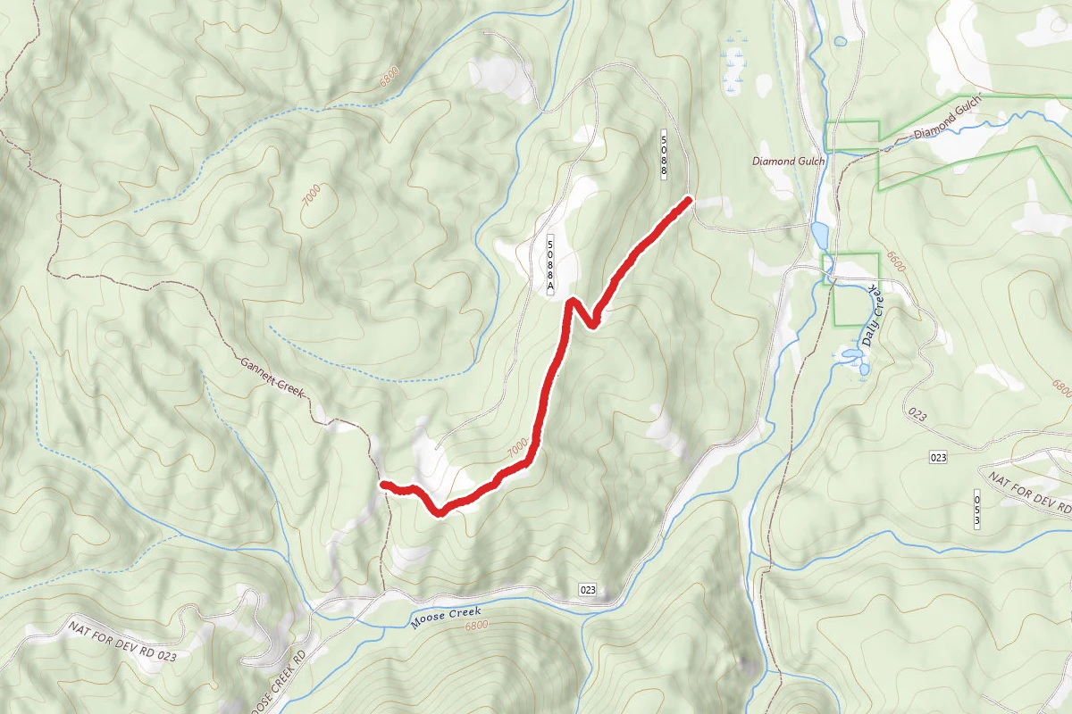 Coty Gulch