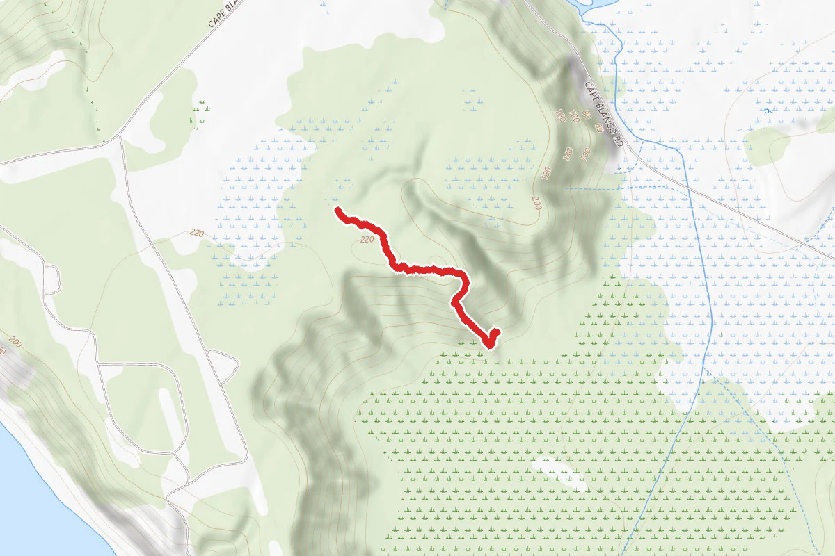 Very Difficult Horse Trail