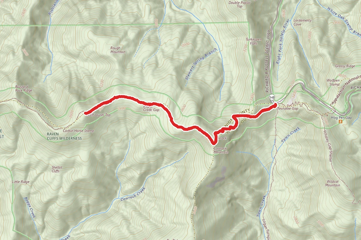 Wolf Laurel Top via Appalachian Trail