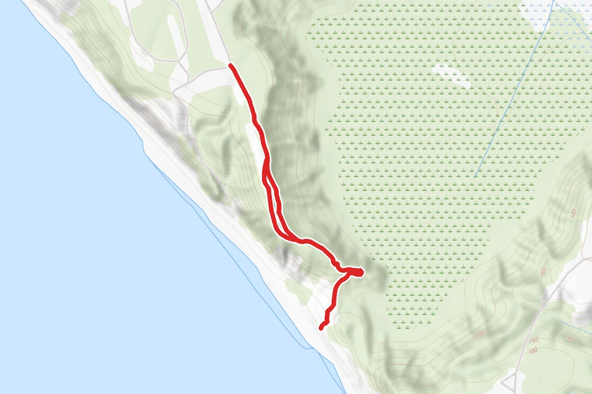 Beach Horse Trail