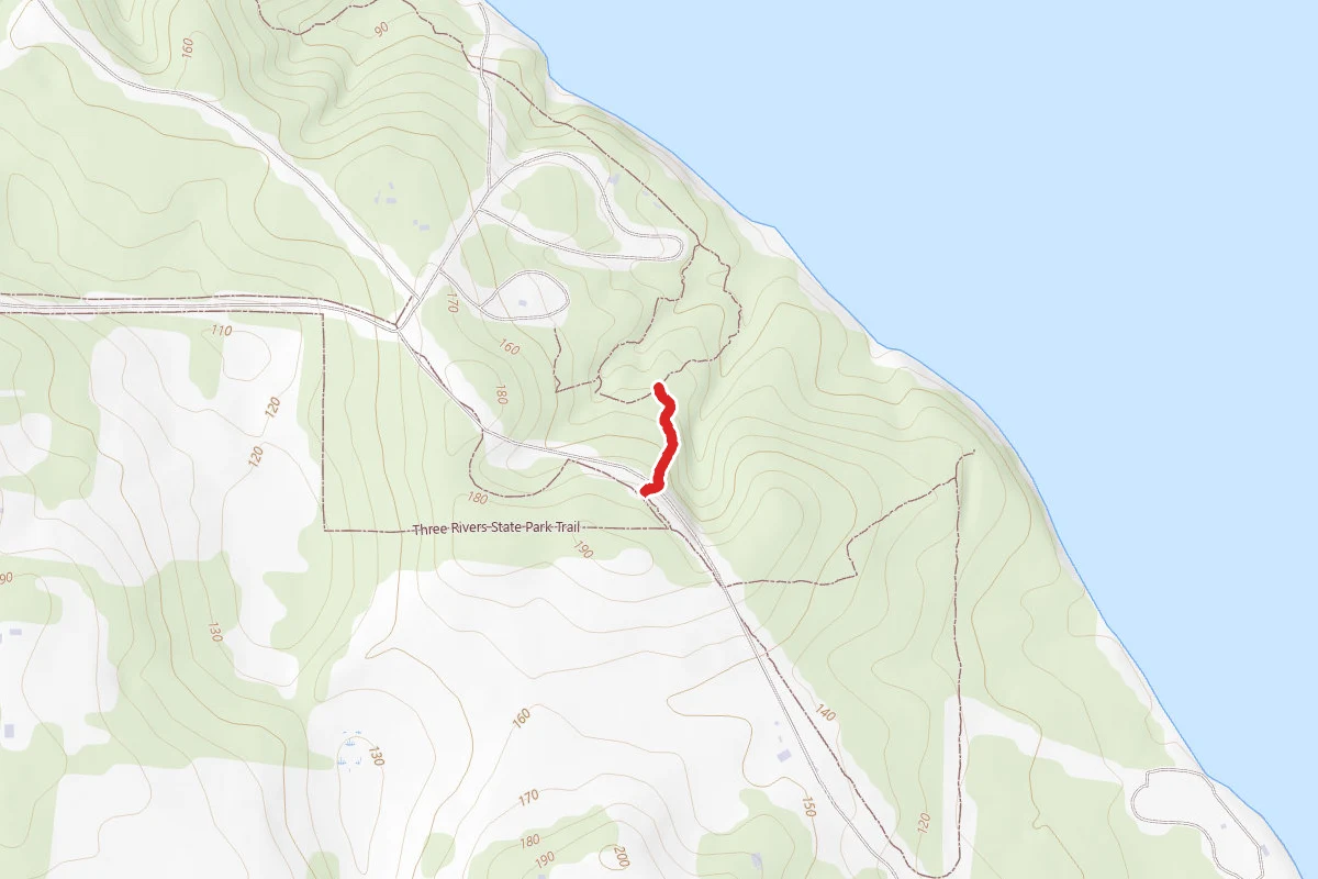 Connection Trail