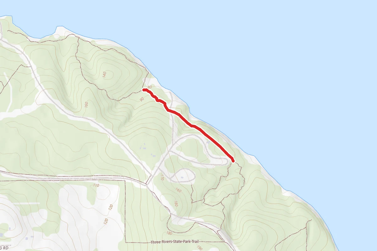Picnic Connection Trail