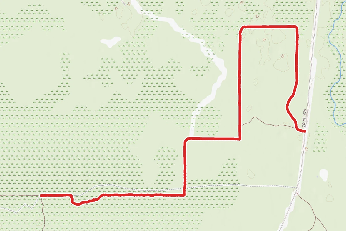 Big Pine Loop // Orange