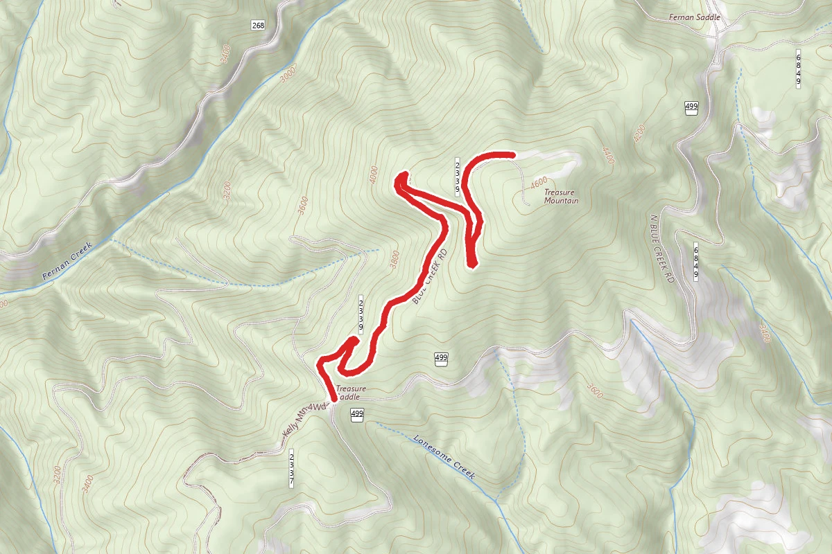 Treasure Mtn 4Wd