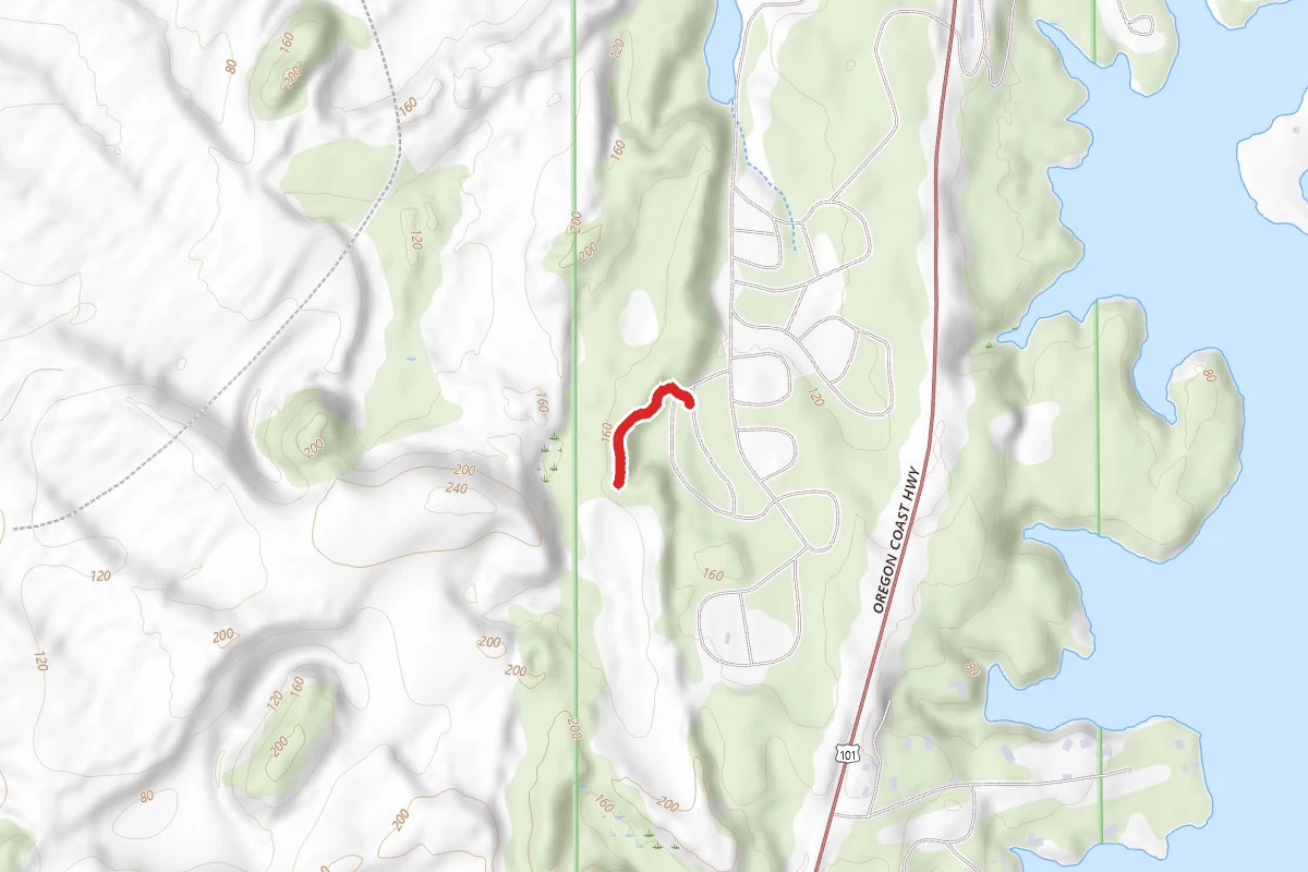 Dune Trail