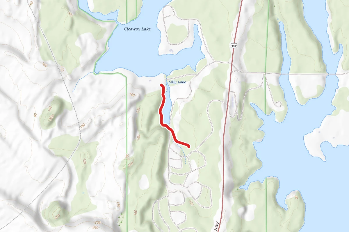 Lilly Lake and Sand Dunes