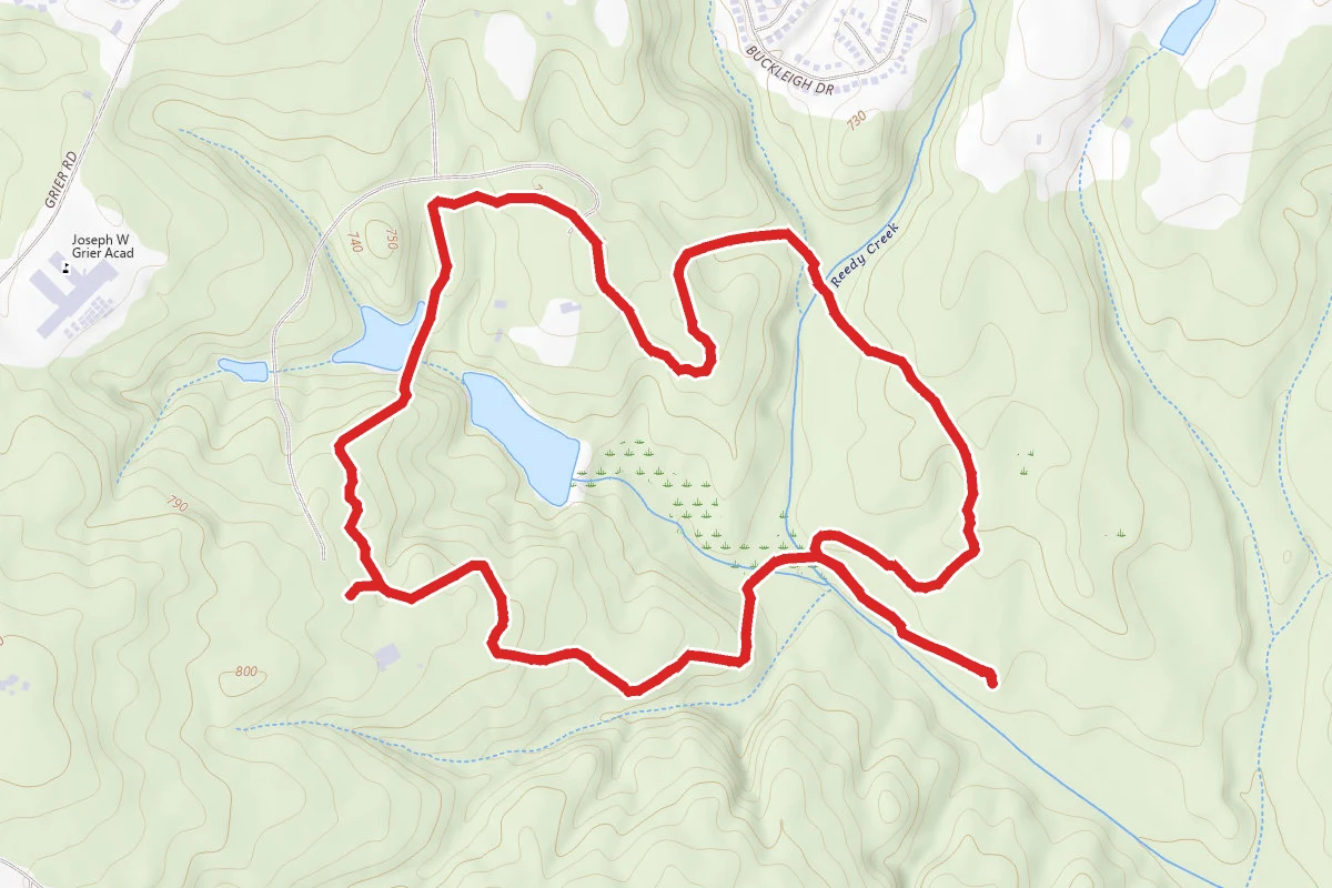 Reedy Creek Nature Preserve Trail