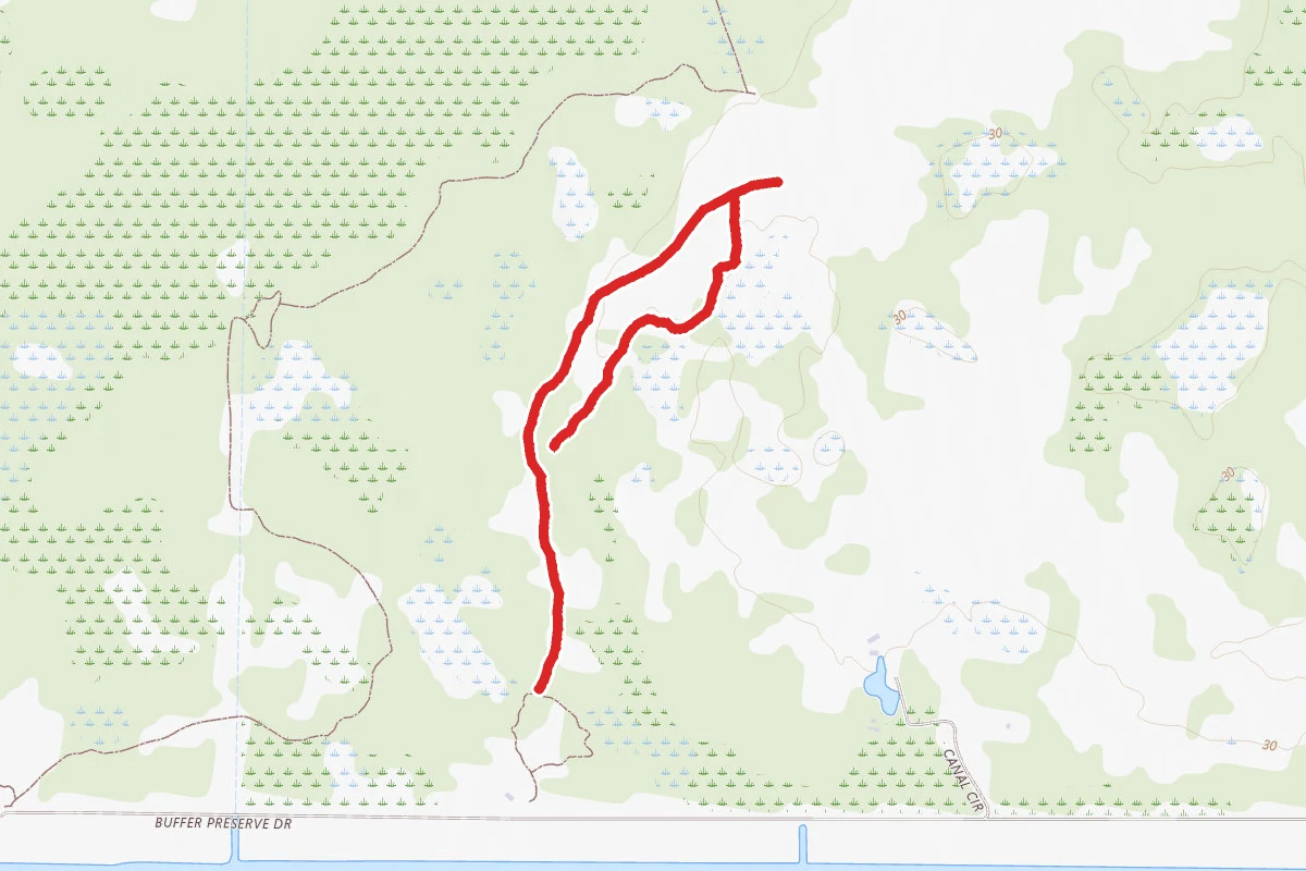 White Trail