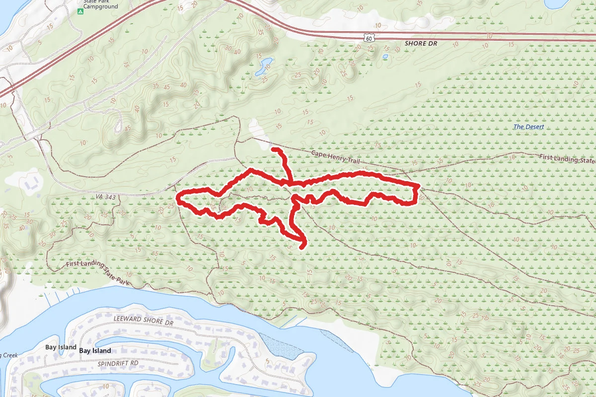 Bald Cypress Trail