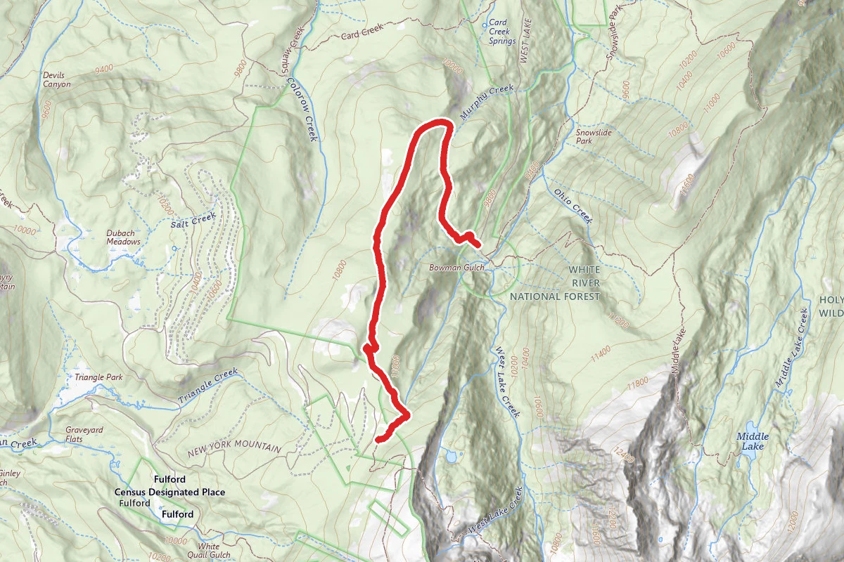 New York Mountain Trail