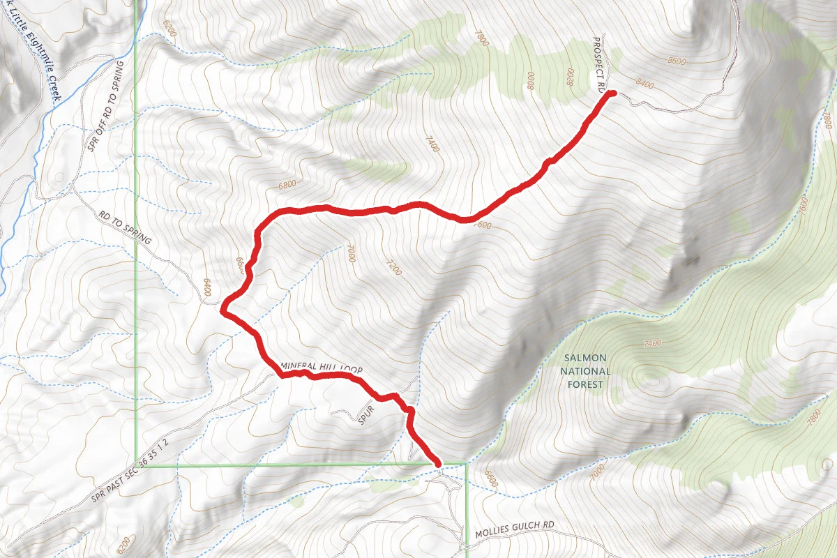 Mollies Gulch Spur