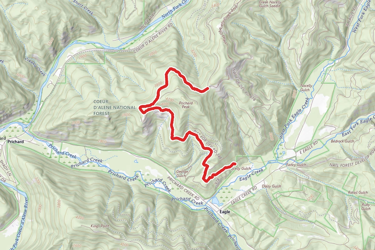 George Gulch 4Wd
