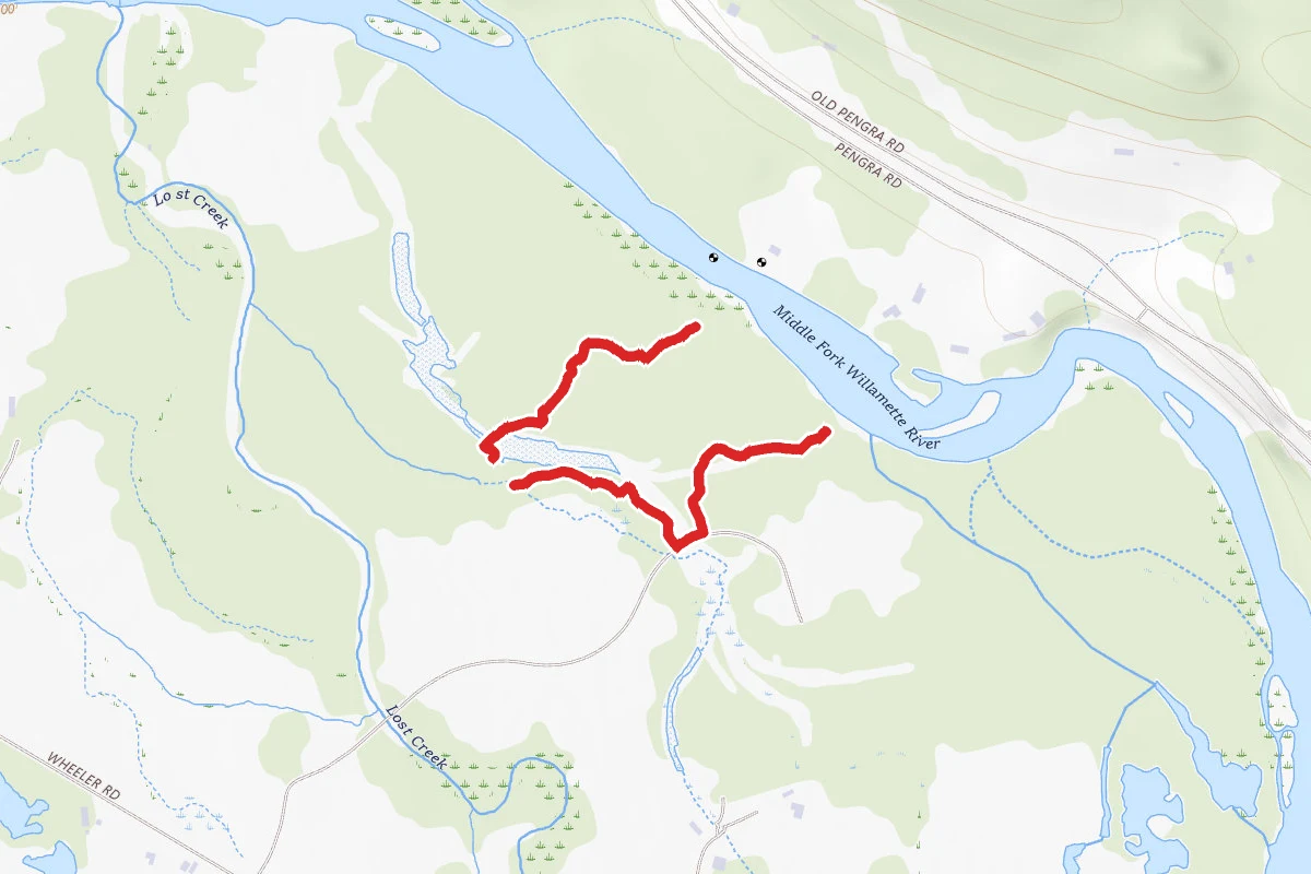 Pond Turtle Loop