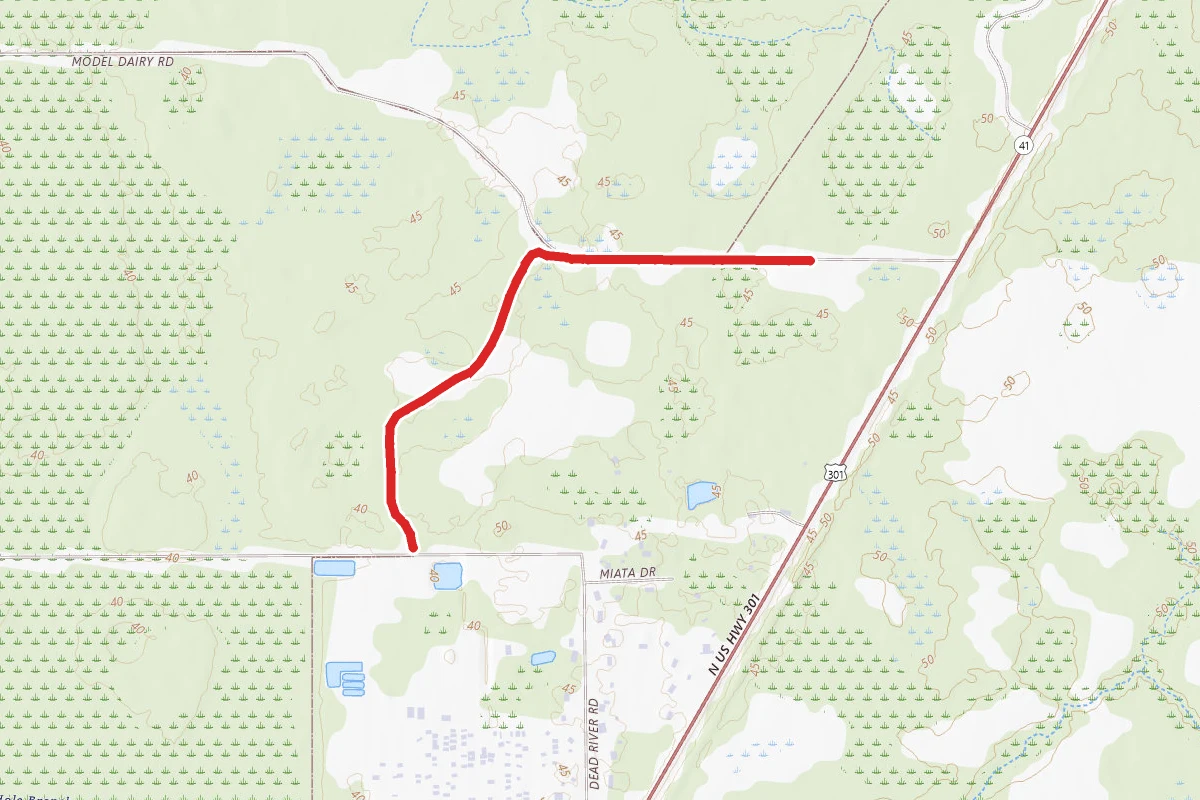 Ft King Trail