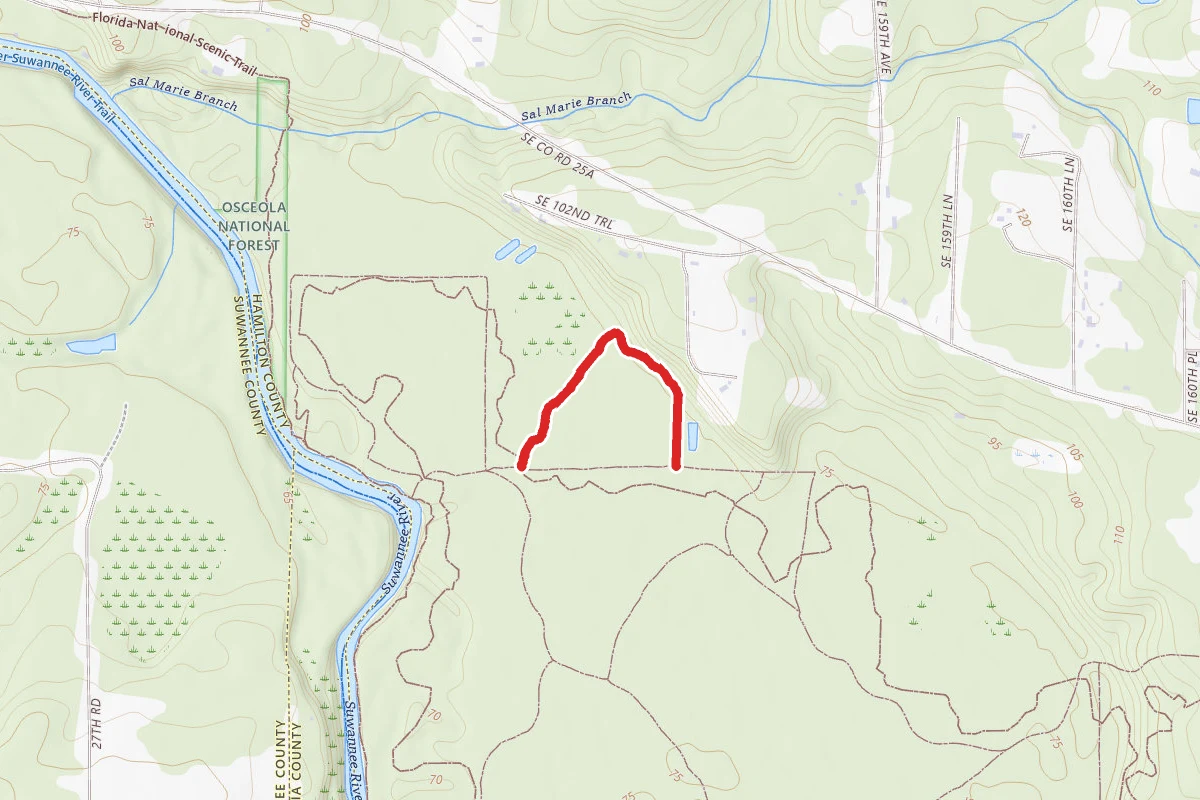 Sandhill Lane Trail