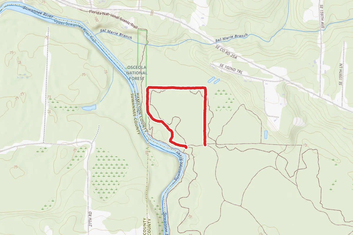 Bear Lane Trail