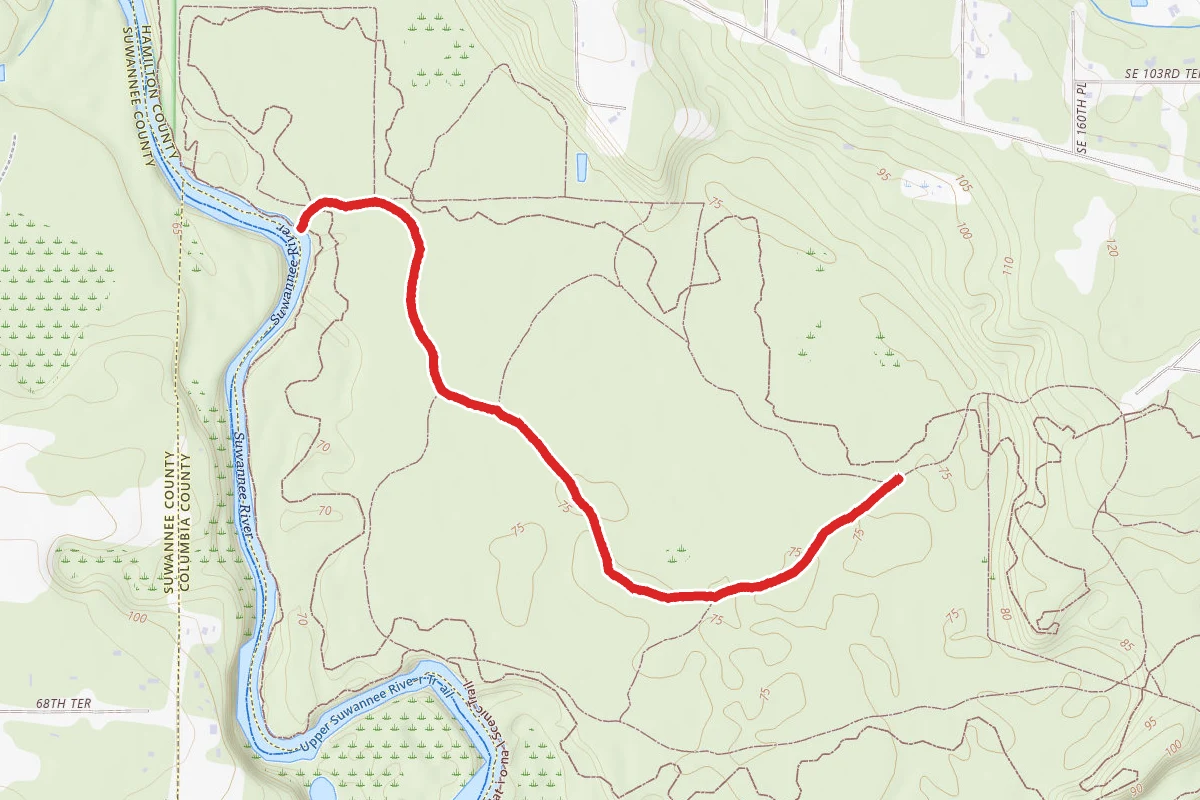 Camp Road Trail
