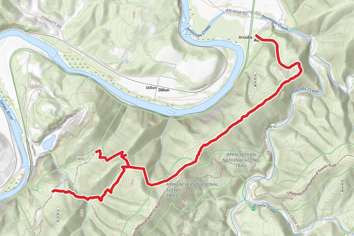 Buchanon Trail - Cove Mountain