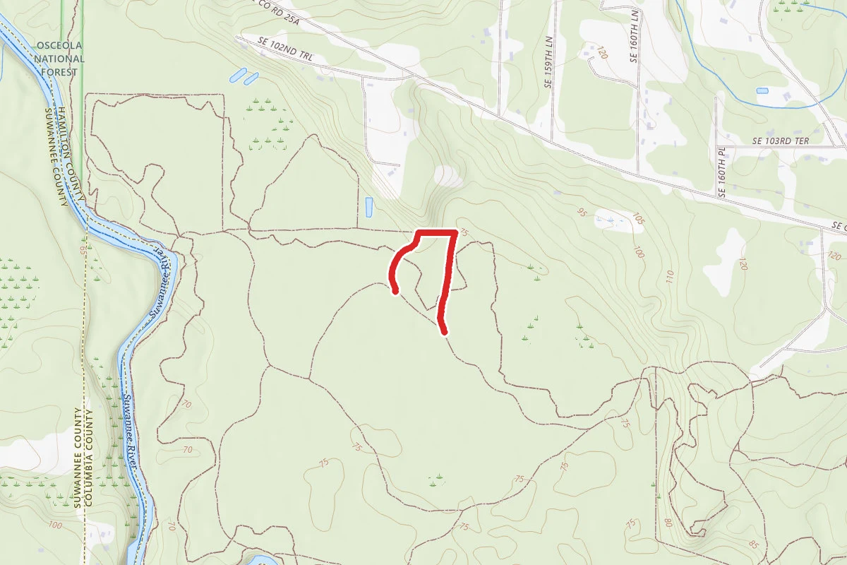 Cypress Lane Trail