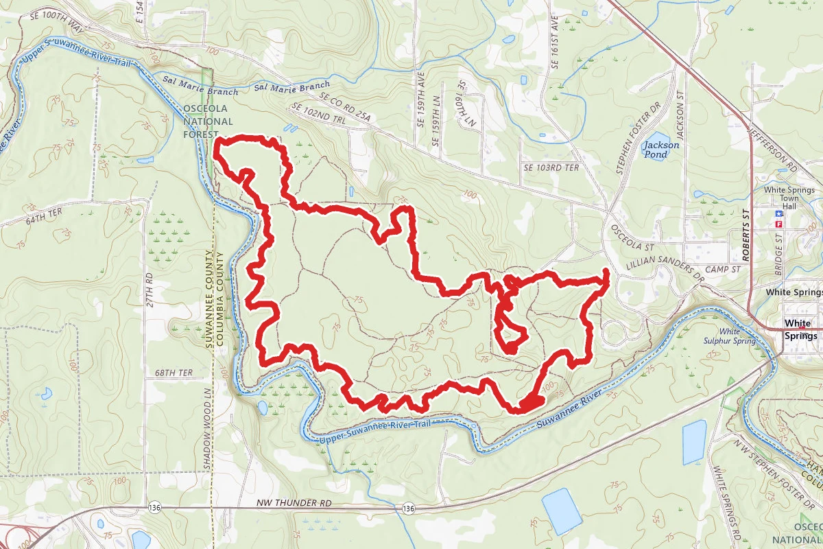 Foster's Hammock Loop Trail