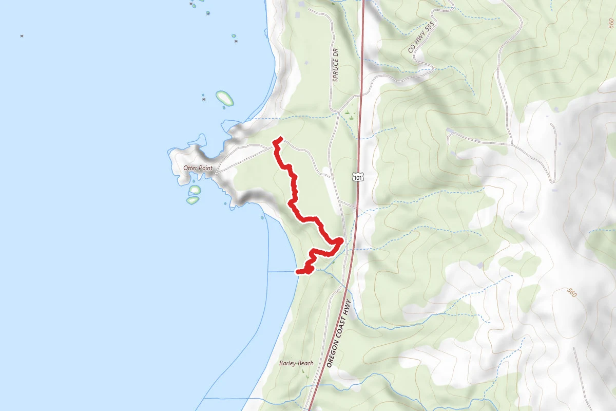 Otter Point Beach Access