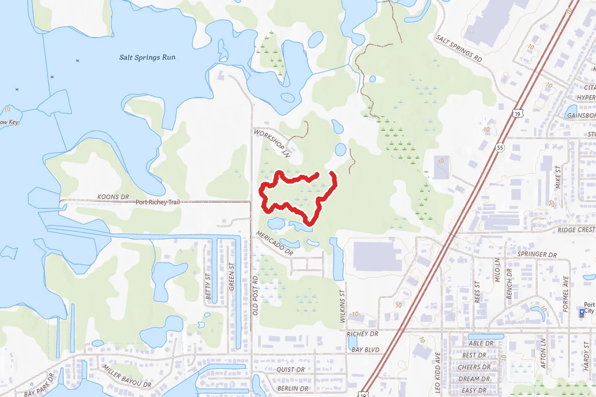 Boy Scout Trail