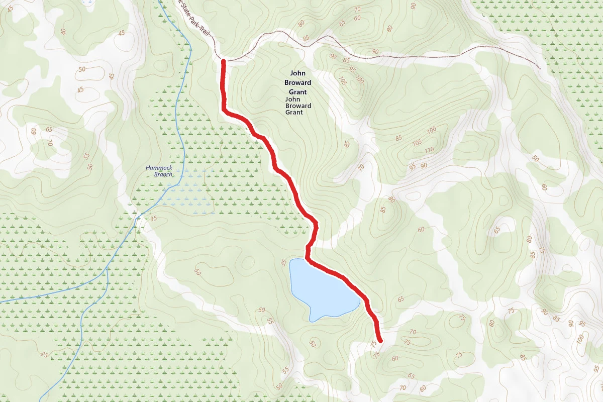 Sand Pine Scrub-Long Trail