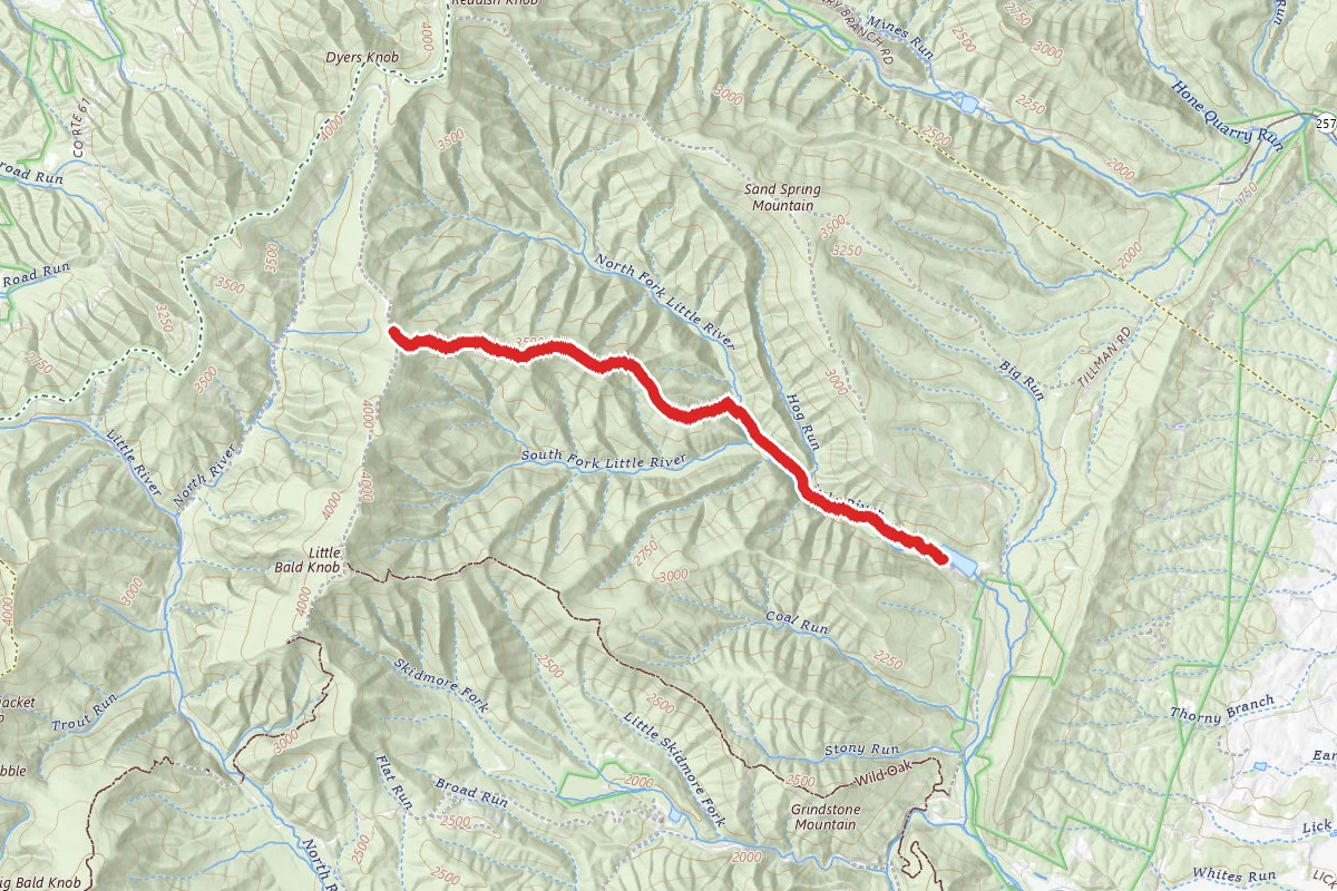 Buck Mountain