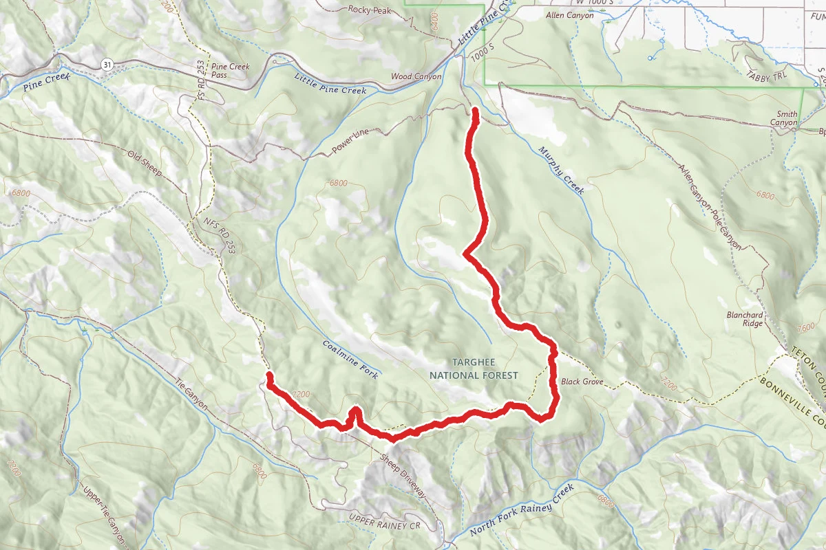 Wood Canyon Ridge-Black Grove