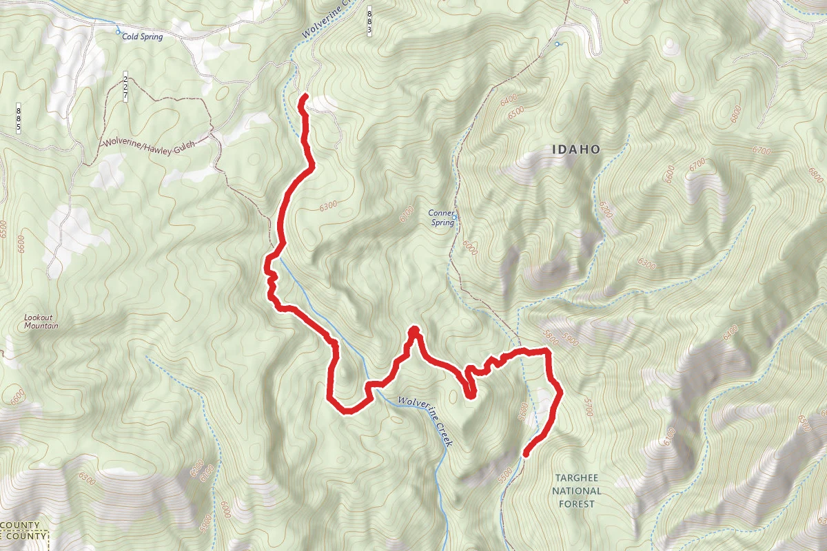 Wolverine Creek