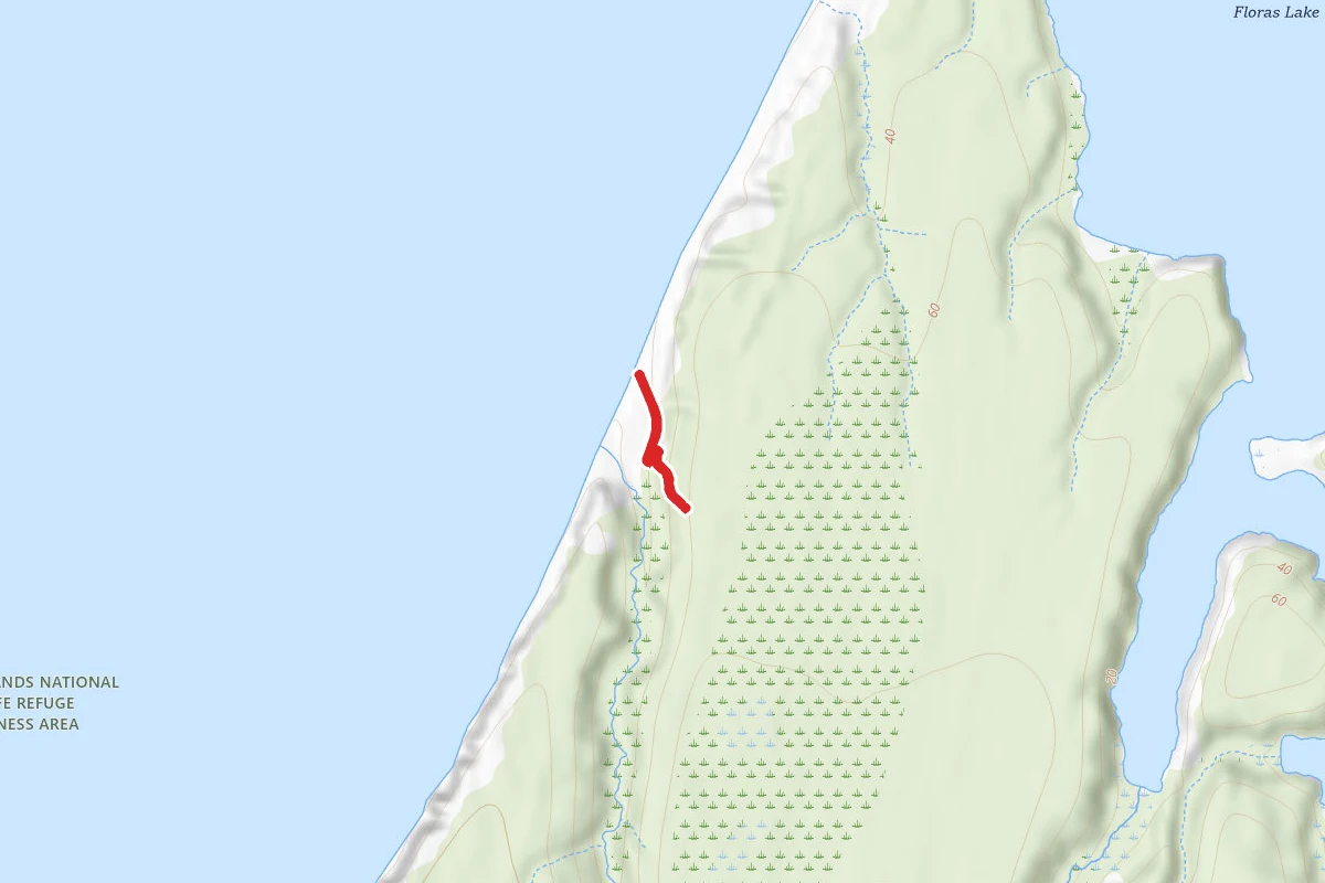 Beach Access Trail