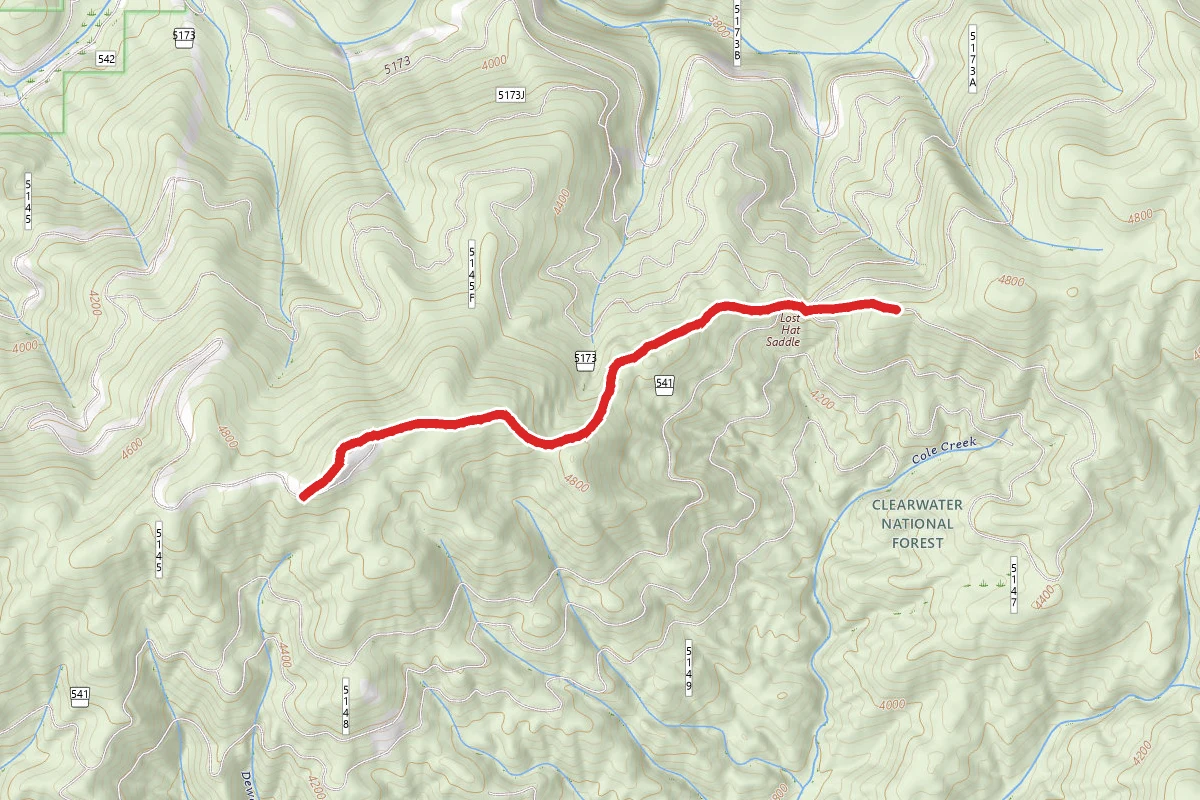 Dan Lee Ridge