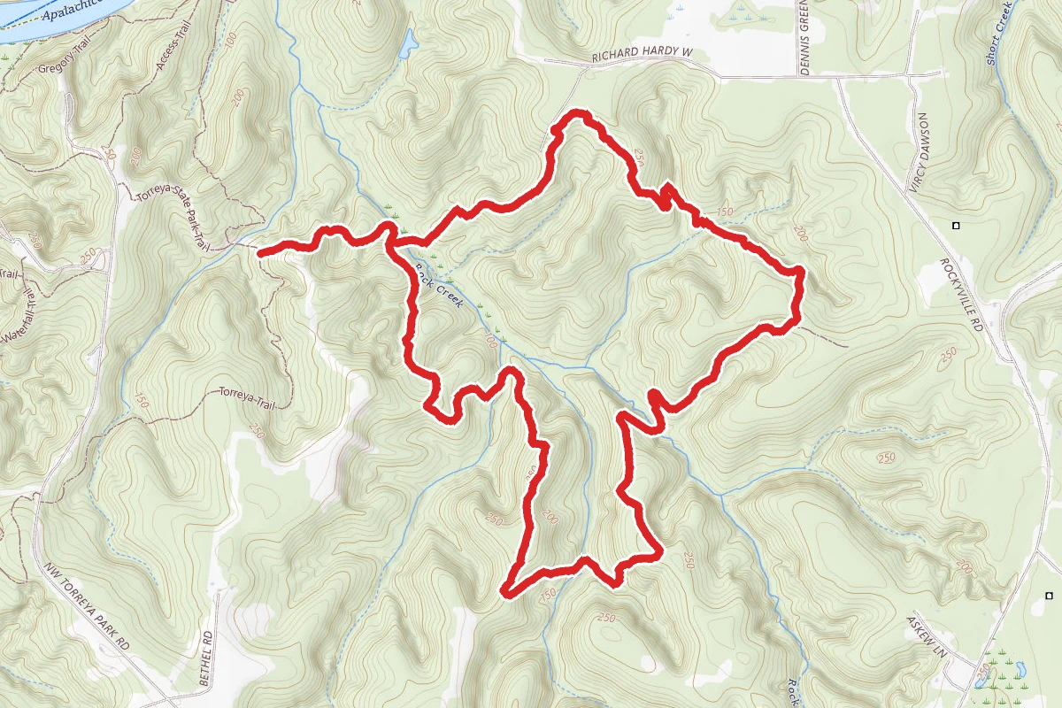 Torreya Challenge Trail