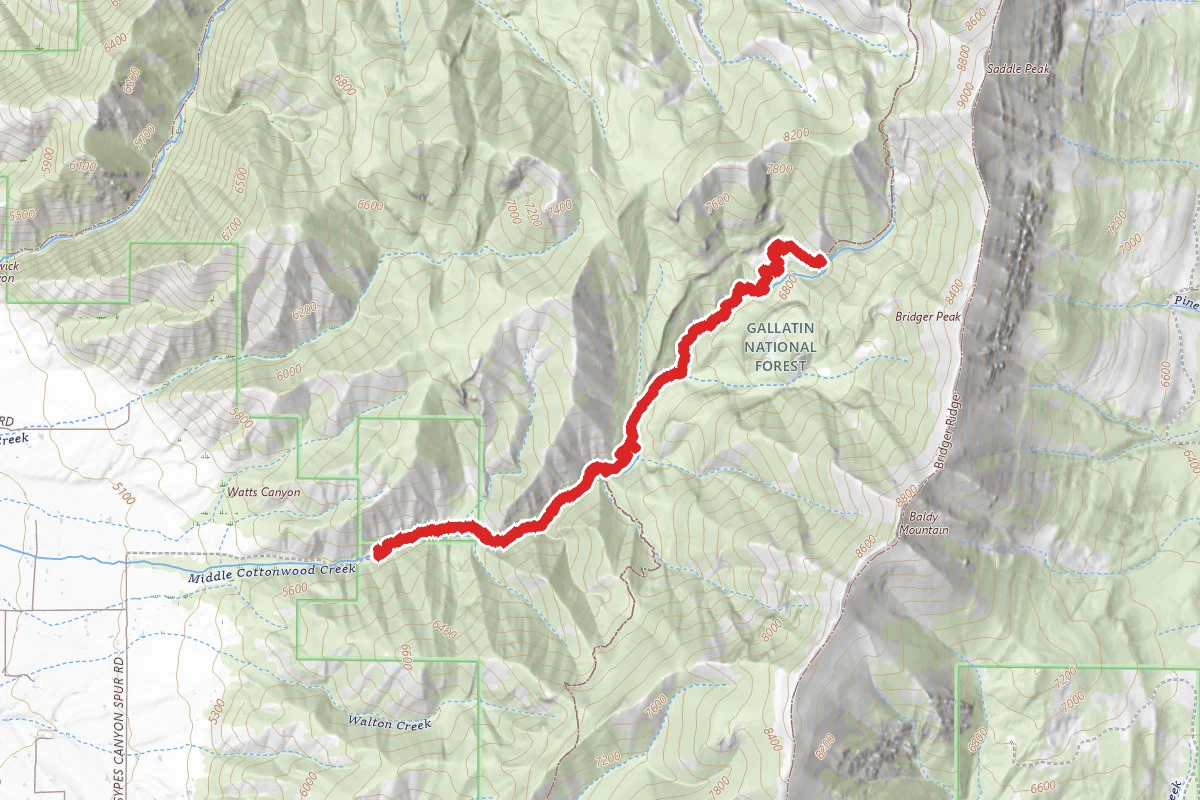 Middle Cottonwood Creek