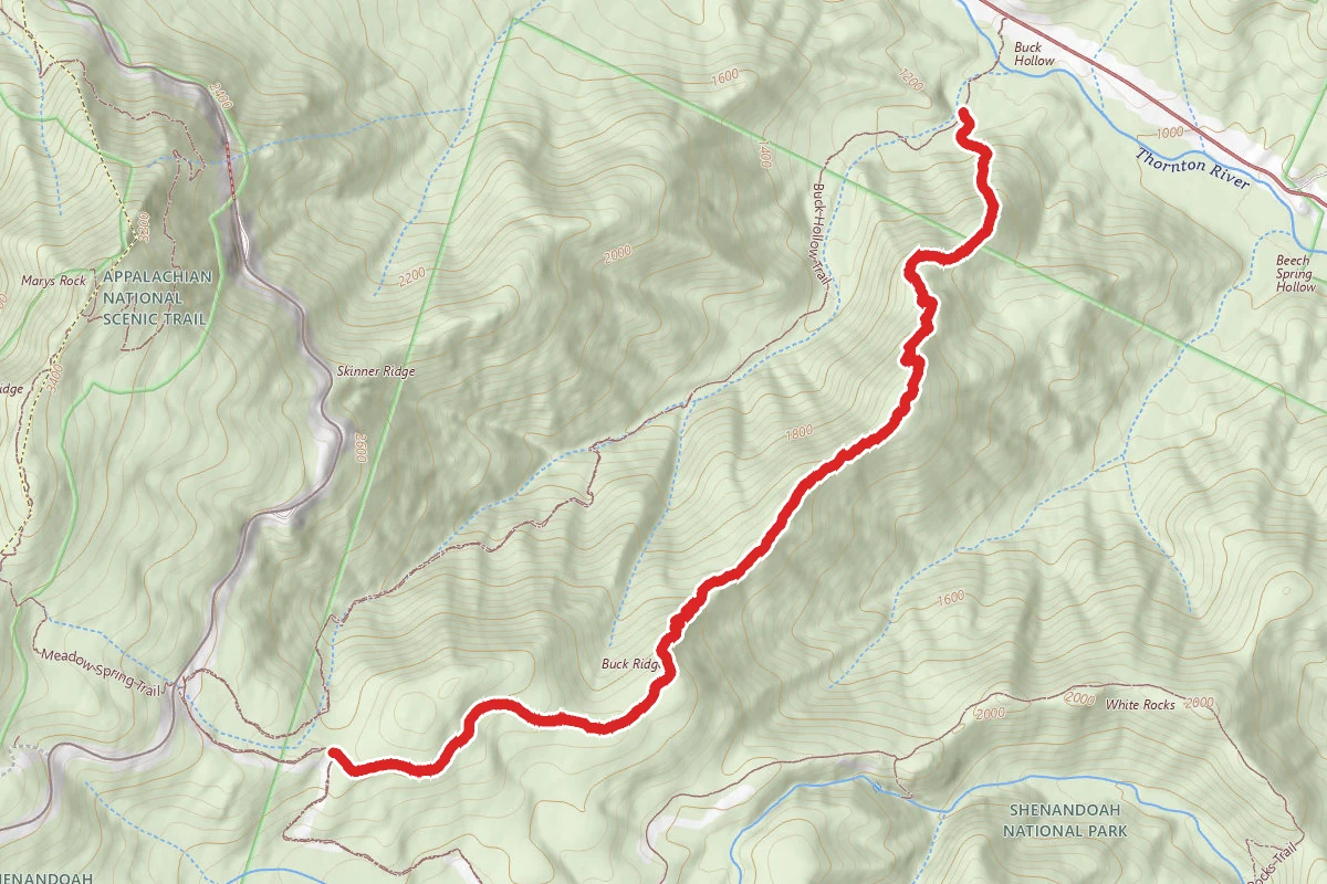 Buck Ridge Trail